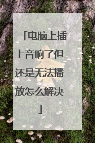 电脑上插上音响了但还是无法播放怎么解决