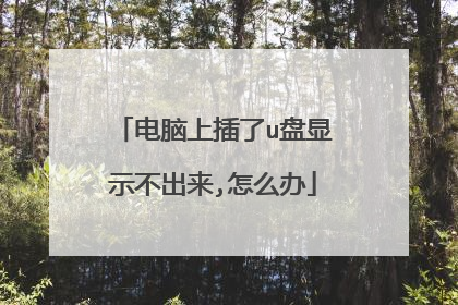 电脑上插了u盘显示不出来,怎么办