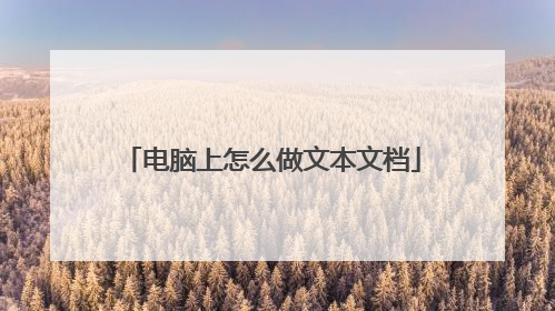 电脑上怎么做文本文档