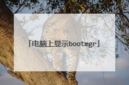电脑上显示bootmgr