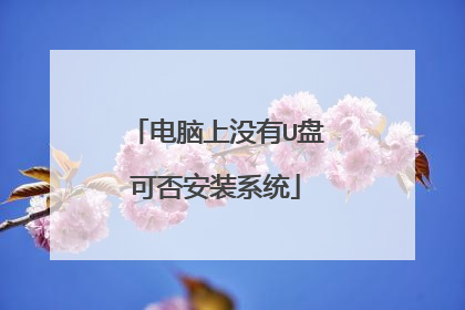 电脑上没有U盘可否安装系统