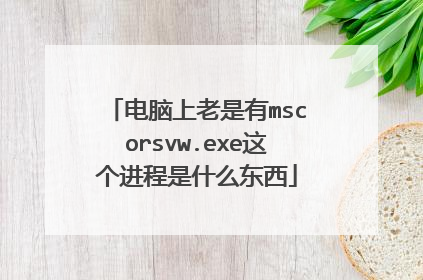 电脑上老是有mscorsvw.exe这个进程是什么东西