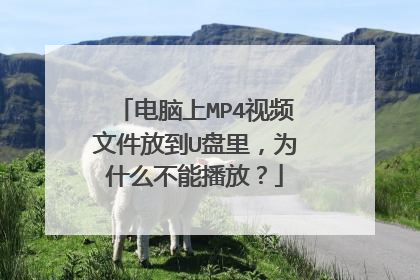 电脑上MP4视频文件放到U盘里,为什么不能播放?