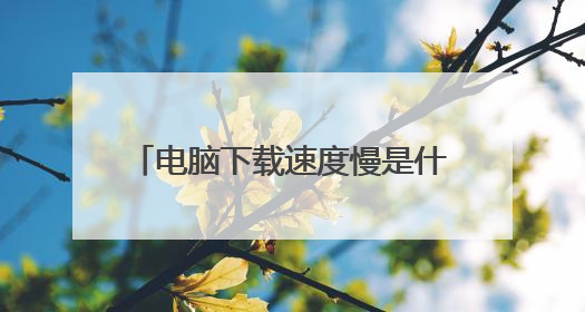 电脑下载速度慢是什么原因win10