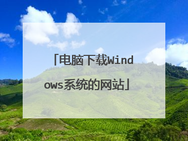 电脑下载Windows系统的网站