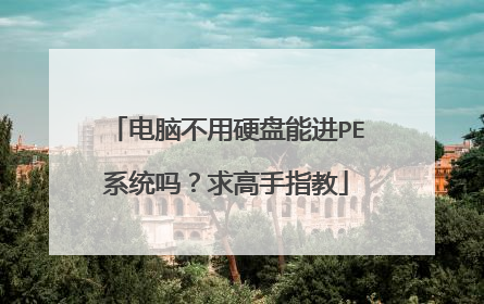 电脑不用硬盘能进PE系统吗？求高手指教