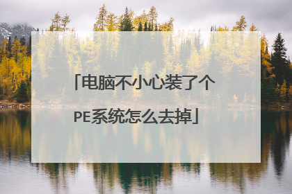 电脑不小心装了个PE系统怎么去掉