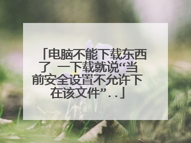 电脑不能下载东西了 一下载就说“当前安全设置不允许下在该文件”..