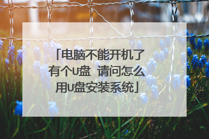 电脑不能开机了 有个U盘 请问怎么用U盘安装系统