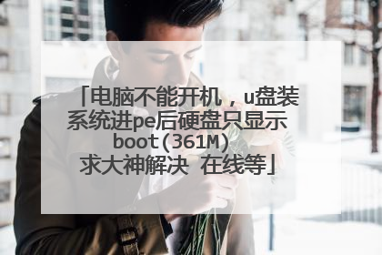 电脑不能开机，u盘装系统进pe后硬盘只显示boot(361M) 求大神解决 在线等