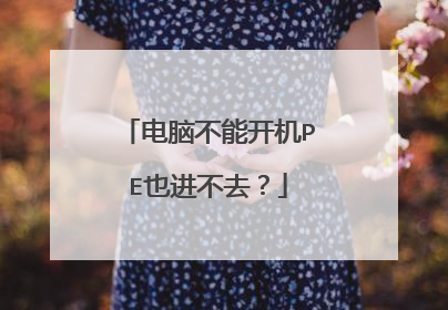 电脑不能开机PE也进不去？