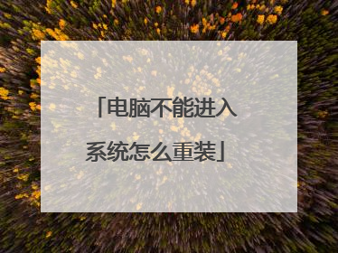电脑不能进入系统怎么重装