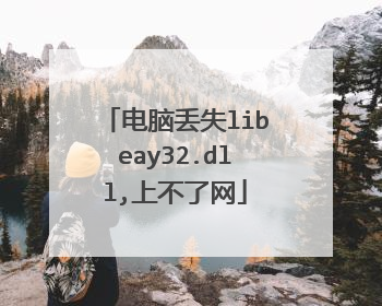 电脑丢失libeay32.dll,上不了网