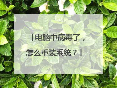 电脑中病毒了,怎么重装系统?
