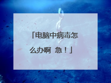 电脑中病毒怎么办啊 急!