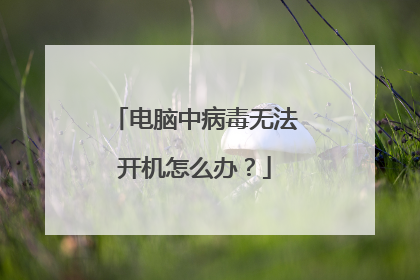 电脑中病毒无法开机怎么办?