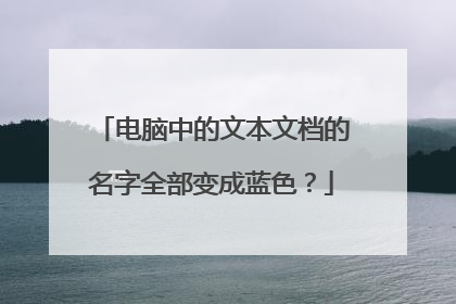 电脑中的文本文档的名字全部变成蓝色?
