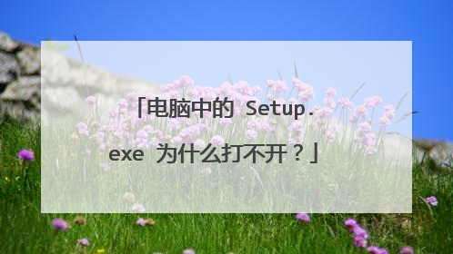 电脑中的 Setup.exe 为什么打不开?
