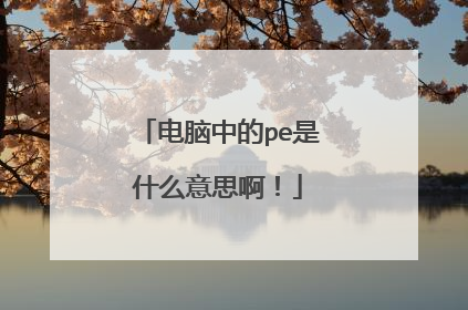 电脑中的pe是什么意思啊！