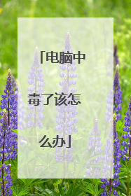 电脑中毒了该怎么办