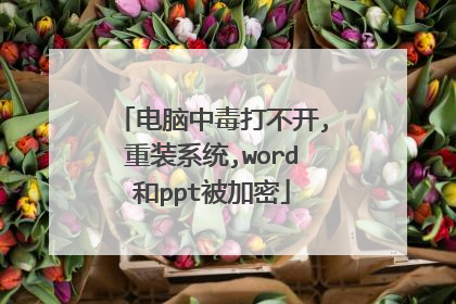 电脑中毒打不开,重装系统,word和ppt被加密