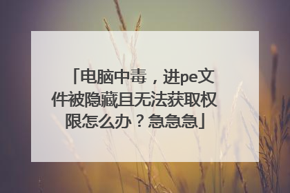 电脑中毒，进pe文件被隐藏且无法获取权限怎么办？急急急