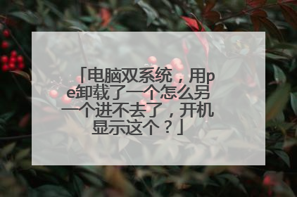 电脑双系统，用pe卸载了一个怎么另一个进不去了，开机显示这个？