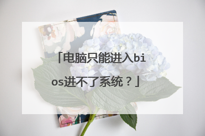 电脑只能进入bios进不了系统?