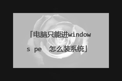 电脑只能进windows pe 怎么装系统
