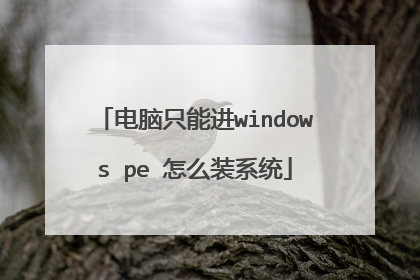 电脑只能进windows pe 怎么装系统
