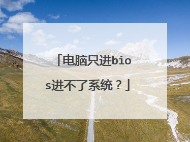 电脑只进bios进不了系统?