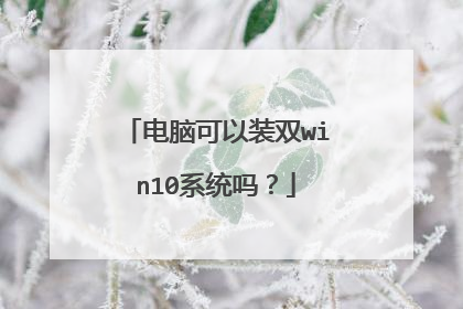 电脑可以装双win10系统吗?
