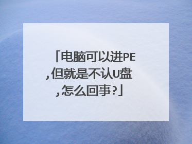电脑可以进PE,但就是不认U盘,怎么回事?