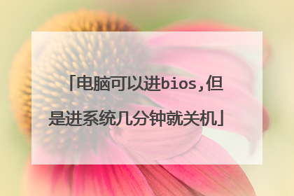 电脑可以进bios,但是进系统几分钟就关机