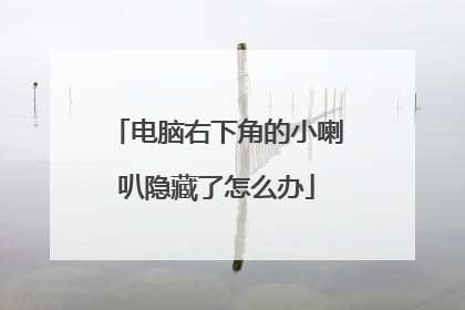 电脑右下角的小喇叭隐藏了怎么办