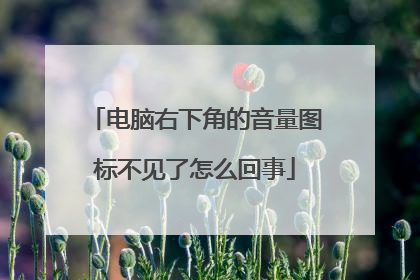 电脑右下角的音量图标不见了怎么回事