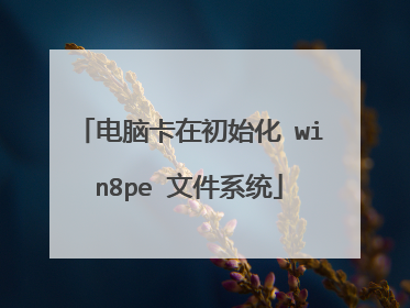 电脑卡在初始化 win8pe 文件系统