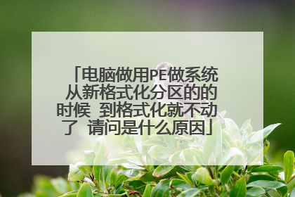 电脑做用PE做系统 从新格式化分区的的时候 到格式化就不动了 请问是什么原因