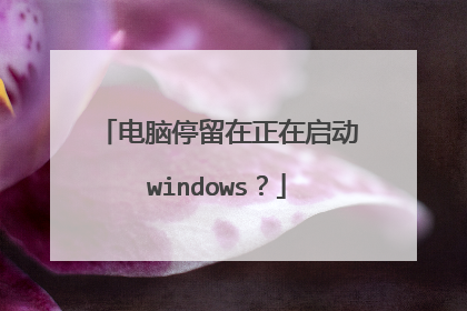 电脑停留在正在启动windows?