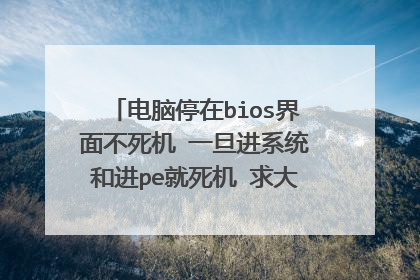 电脑停在bios界面不死机 一旦进系统和进pe就死机 求大神给个方案解决