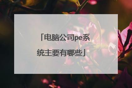 电脑公司pe系统主要有哪些