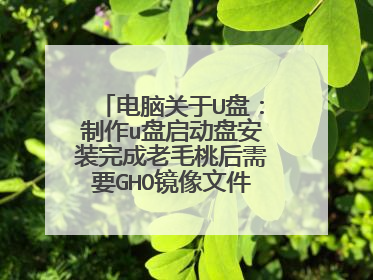 电脑关于U盘:制作u盘启动盘安装完成老毛桃后需要GHO镜像文件怎么弄 我有下过系统可找不到GHO文件 求解答
