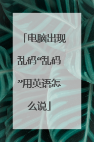 电脑出现乱码“乱码”用英语怎么说