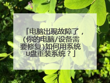 电脑出现故障了，(你的电脑/设备需要修复)如何用系统U盘重装系统？
