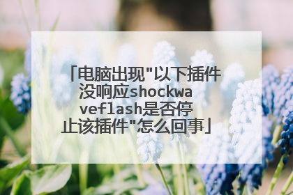 电脑出现