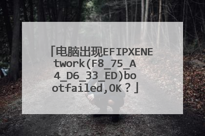 电脑出现EFIPXENEtwork(F8_75_A4_D6_33_ED)bootfailed,OK?