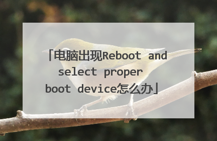 电脑出现Reboot and select proper boot device怎么办