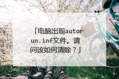 电脑出现autorun.inf文件。请问该如何清除?