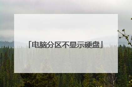 电脑分区不显示硬盘