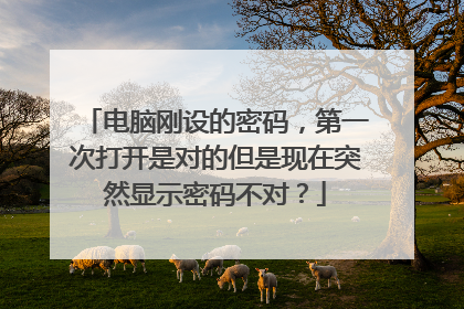 电脑刚设的密码,第一次打开是对的但是现在突然显示密码不对?